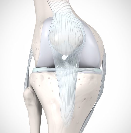 Symptome bei einem Meniskusriss - Orthopädie in Düsseldorf